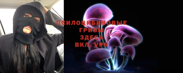 прущий лед Алзамай