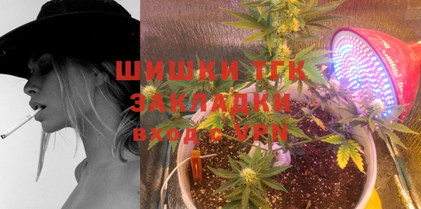 прущий лед Алзамай