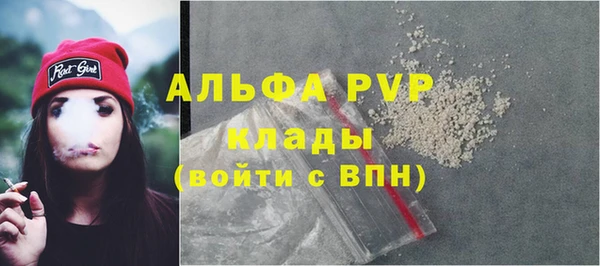прущий лед Алзамай