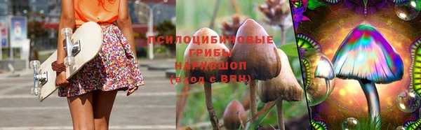 прущий лед Алзамай