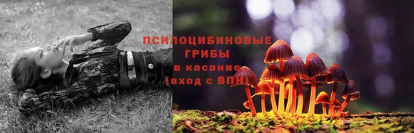 прущий лед Алзамай