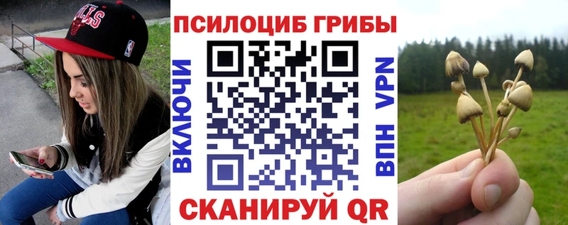 Псилоцибиновые грибы мицелий  Безенчук 